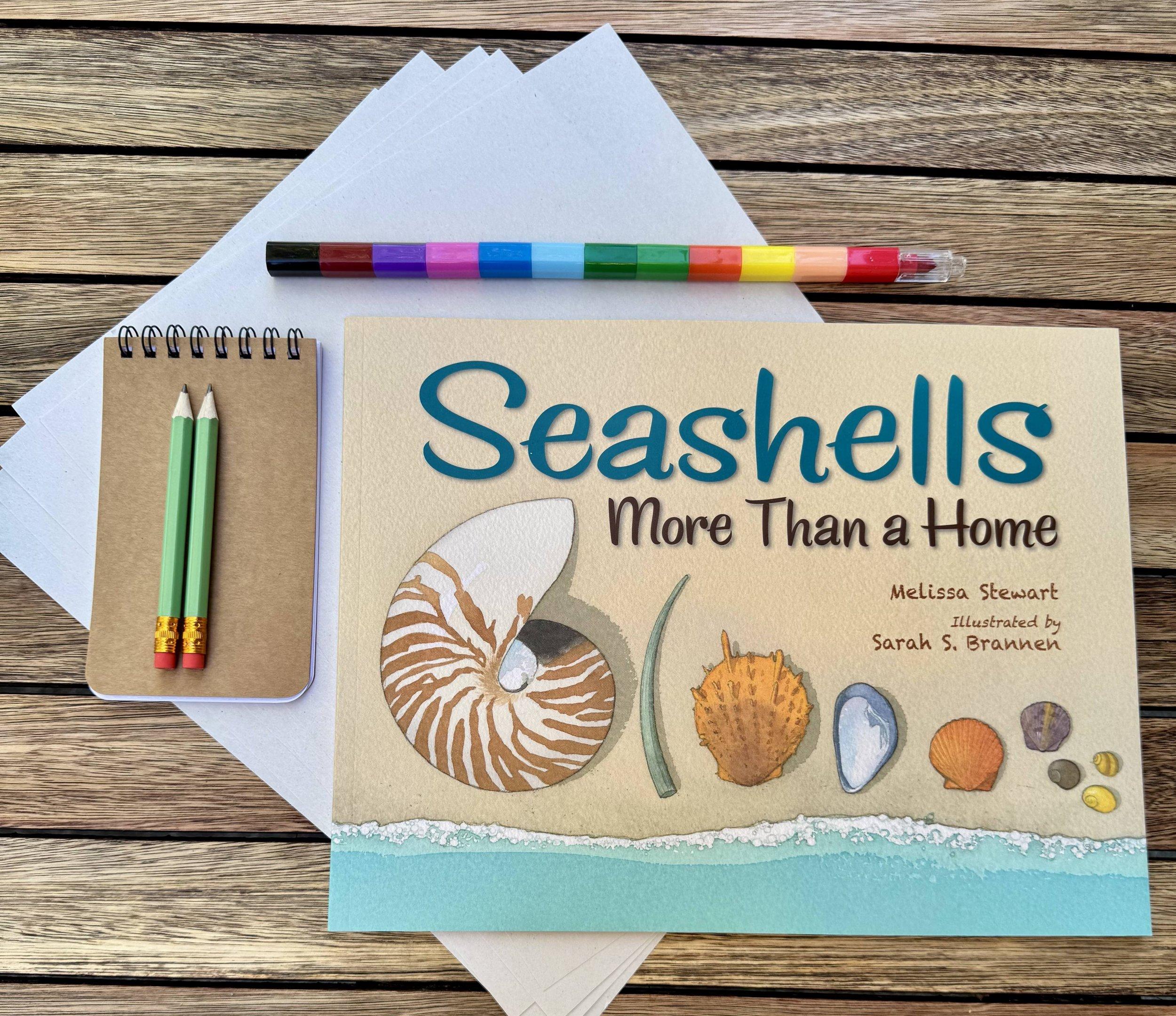The SEASHELL Box - Wonder, shells & the quiet art of looking closely product image