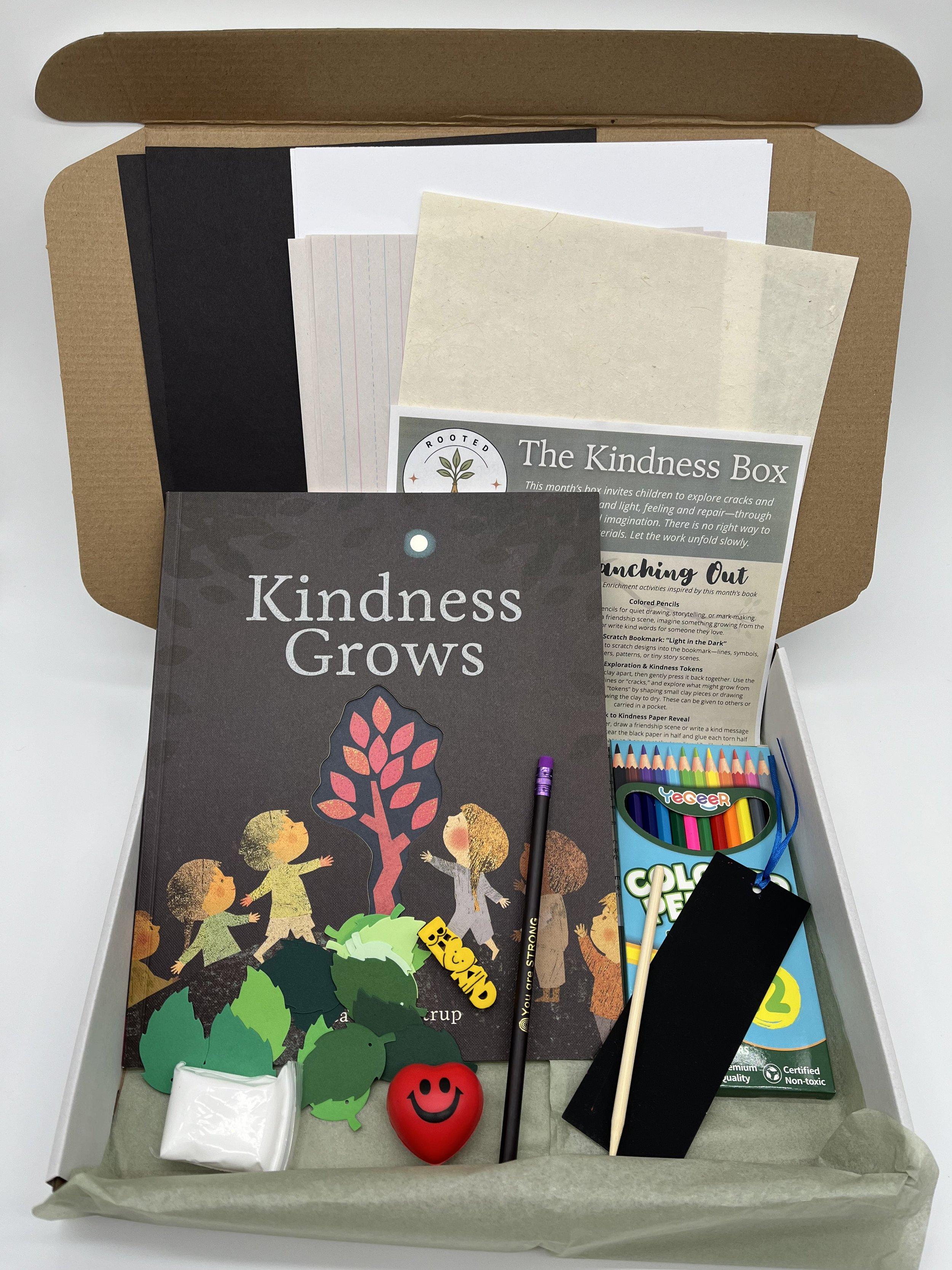 The KINDNESS Box - Exploring big feelings, friendship & the language of connection product image